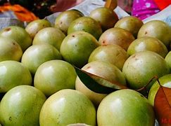 Image result for Small Yellow Fruit in Vietnam