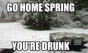 Image result for Minnesota Spring Meme