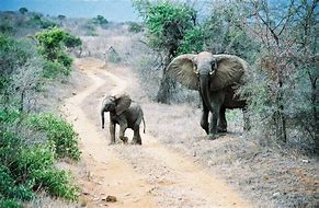 Image result for Places to Sight See in Kenya