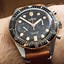 Image result for Oris Dive Watch