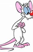 Image result for Pinky X Brain Brinky