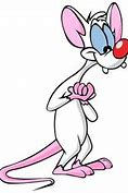 Image result for Pinky and the Brain Cartoon Birthday Images