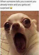 Image result for Cute Memes to Make You Laugh