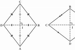 Image result for Definition of a Rhombus