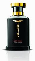 Image result for Park Avenue Premium Perfume