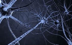 Image result for Brain Neurons Black