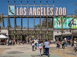 Image result for Red Flowers at the Los Angeles Zoo