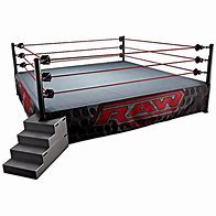 Image result for WWE Wrestling Ring Merchandise