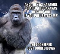 Image result for Funny Harambe Memes