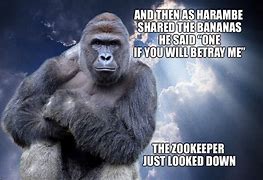 Image result for Harambe Quotes