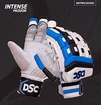 Image result for DSC Cricket Batting Gloves