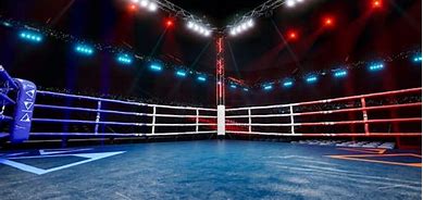 Image result for Boxing Arena A4