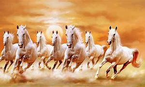 Image result for Pretty White Horses