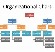 Image result for Organization Chart Sample