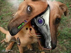 Image result for How Do Animals Look Like in the Future 2025