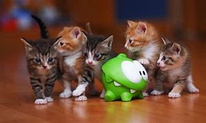 Image result for Cute Pictures for Wallpaper