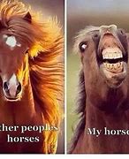 Image result for Funny Horse Memes Unicorn