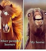 Image result for Summer Horse Meme