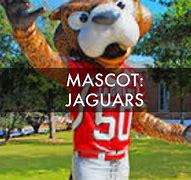 Image result for South Alabama Jaguar Mascot