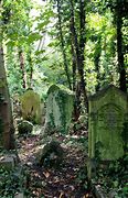Image result for Gorgeous Dark Gothic Graveyard