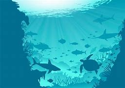 Image result for Under Ocean Clip Art