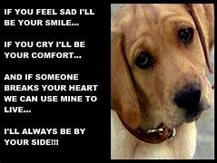 Image result for Sad Dog Quotes
