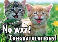 Image result for Congrats Animal Meme