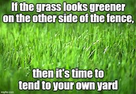 Image result for Grass Is Greener Septic Problem Meme