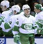 Image result for Toronto Maple Leafs and Toronto St. Pat's and the Mascot All Jese