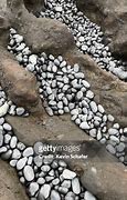 Image result for Cobble Geology