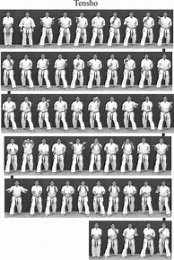Image result for Martial Arts Kata Forms