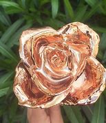 Image result for Rose Gold Pictures