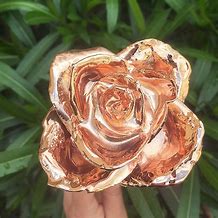 Image result for 24K Gold Plated Rose