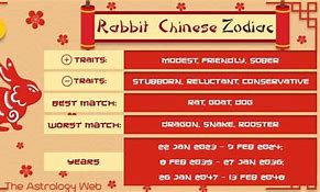 Image result for 1999 Year of the Rabbit
