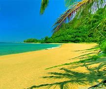 Image result for Summer Beach Wallpaper Free