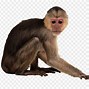 Image result for Giannis as a Monkey Transparent