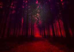 Image result for Exotic Woods That Are Red in Color