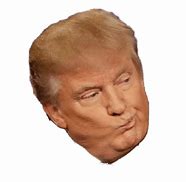 Image result for Trump Head PNG