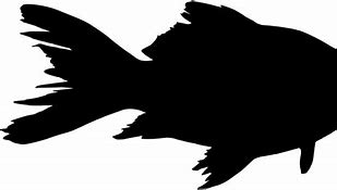 Image result for Deep Sea Fish Silhouette