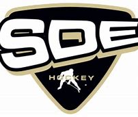 Image result for Sonix Hockey Logo