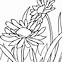 Image result for Draw Easy Flower Drawings