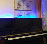 Image result for LED Piano Light