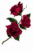 Image result for Gothic Rose with Bat White Background