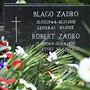 Image result for zladro