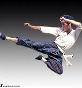 Image result for Bruce Lee Fly Kick