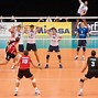 Image result for Volleyball Stock Image No Background