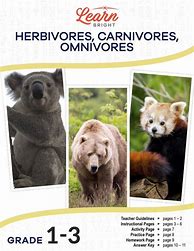 Image result for Herbivore vs Carnivore