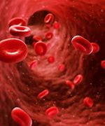 Image result for hemostasia