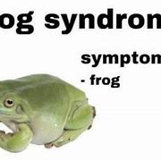 Image result for Frog Meme Doing Fu
