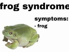 Image result for Flying Frog Meme